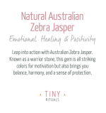 Natural Australian Zebra Jasper Energy Bracelet - Image 3