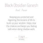 Black Obsidian Ganesh - Image 6
