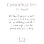 Capricorn Bracelet Set - Image 5