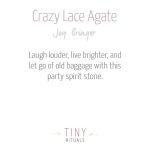 Crazy Lace Agate Energy Bracelet - Image 3