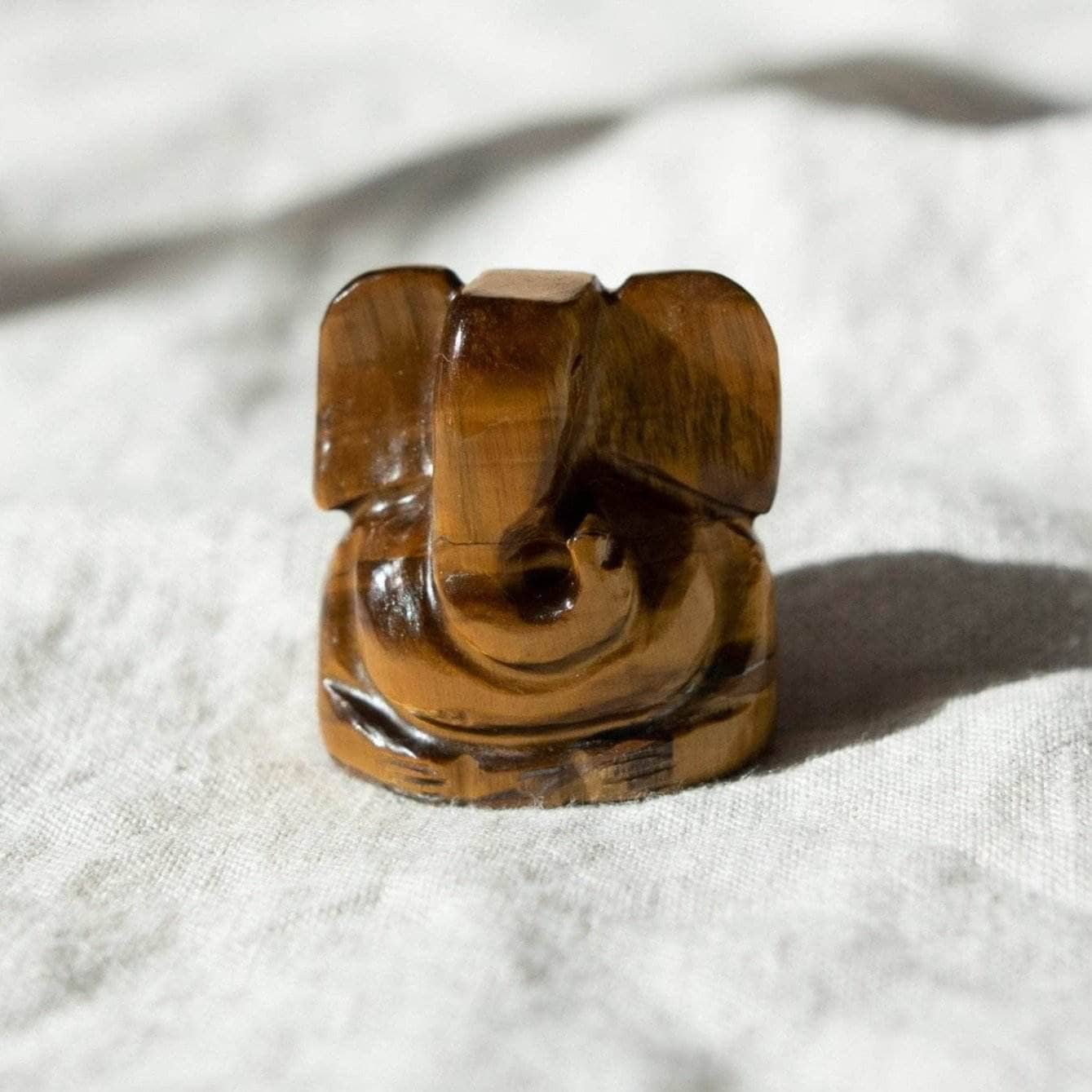 DSC_0824 Tiger Eye Ganesh - Image 1
