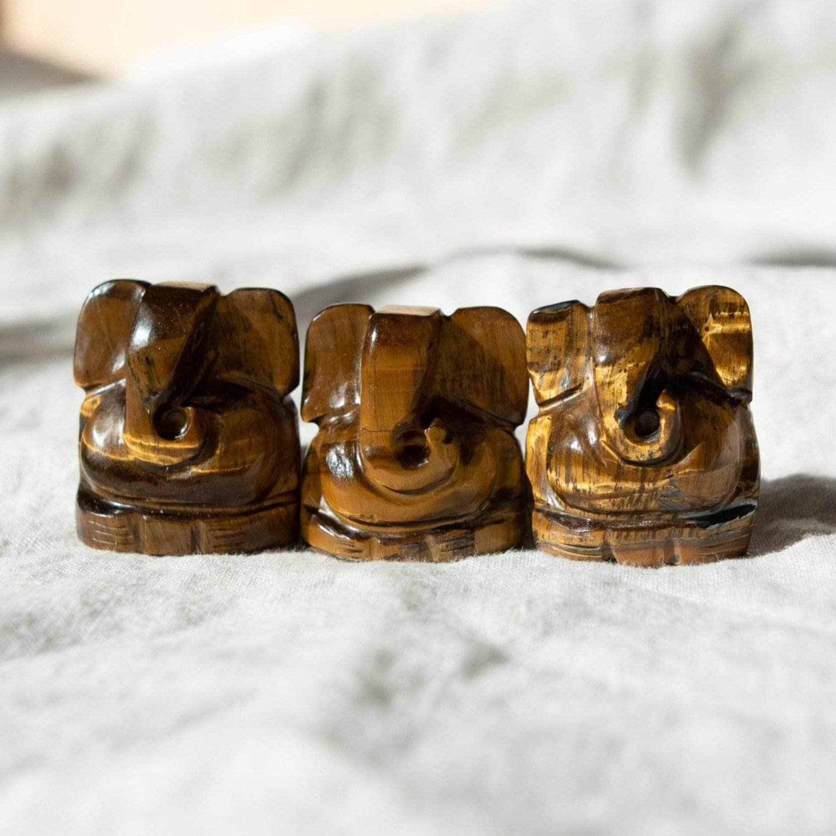 DSC_0827 Tiger Eye Ganesh - Image 4