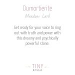 Dumortierite Energy Bracelet - Image 3