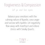 Forgiveness & Compassion Pack - Image 4