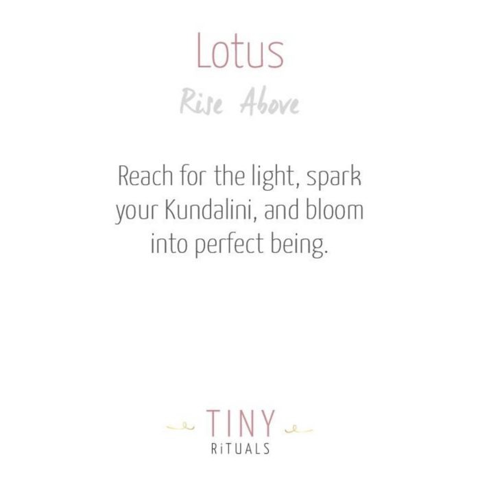 Lotus Gold Ring - Image 4