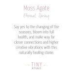Moss Agate Energy Bracelet - Image 6