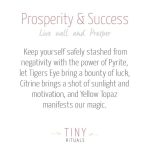 Prosperity & Success Pack - Image 5