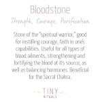 Bloodstone Silver or Gold Ring - Image 3