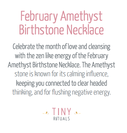 ScreenShot2022-09-11at6.08.20PM_a71476a8-65a1-4173-87d9-d32c87871199 February Amethyst Birthstone Necklace - Image 8