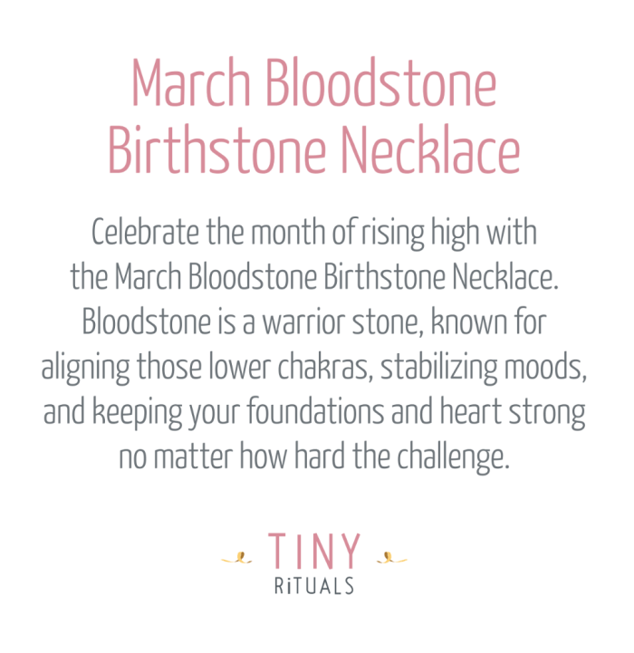 March Bloodstone Birthstone Necklace - Image 4