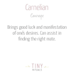 Carnelian Energy Anklet - Image 4