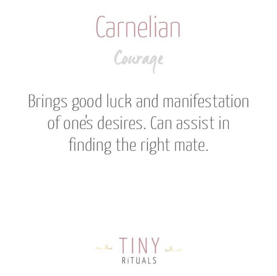 ScreenShot2022-09-16at5.06.03PM Carnelian Energy Anklet - Image 4