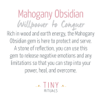 Mahogany Obsidian Energy Bracelet - Image 4