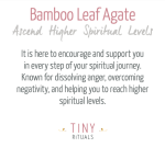 Bamboo Leaf Agate Energy Bracelet - Image 5