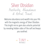 Silver Obsidian Worry Stone - Image 4