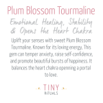 Natural Plum Blossom Tourmaline Energy Bracelet - Image 3