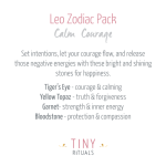 Leo Bracelet Set - Image 3