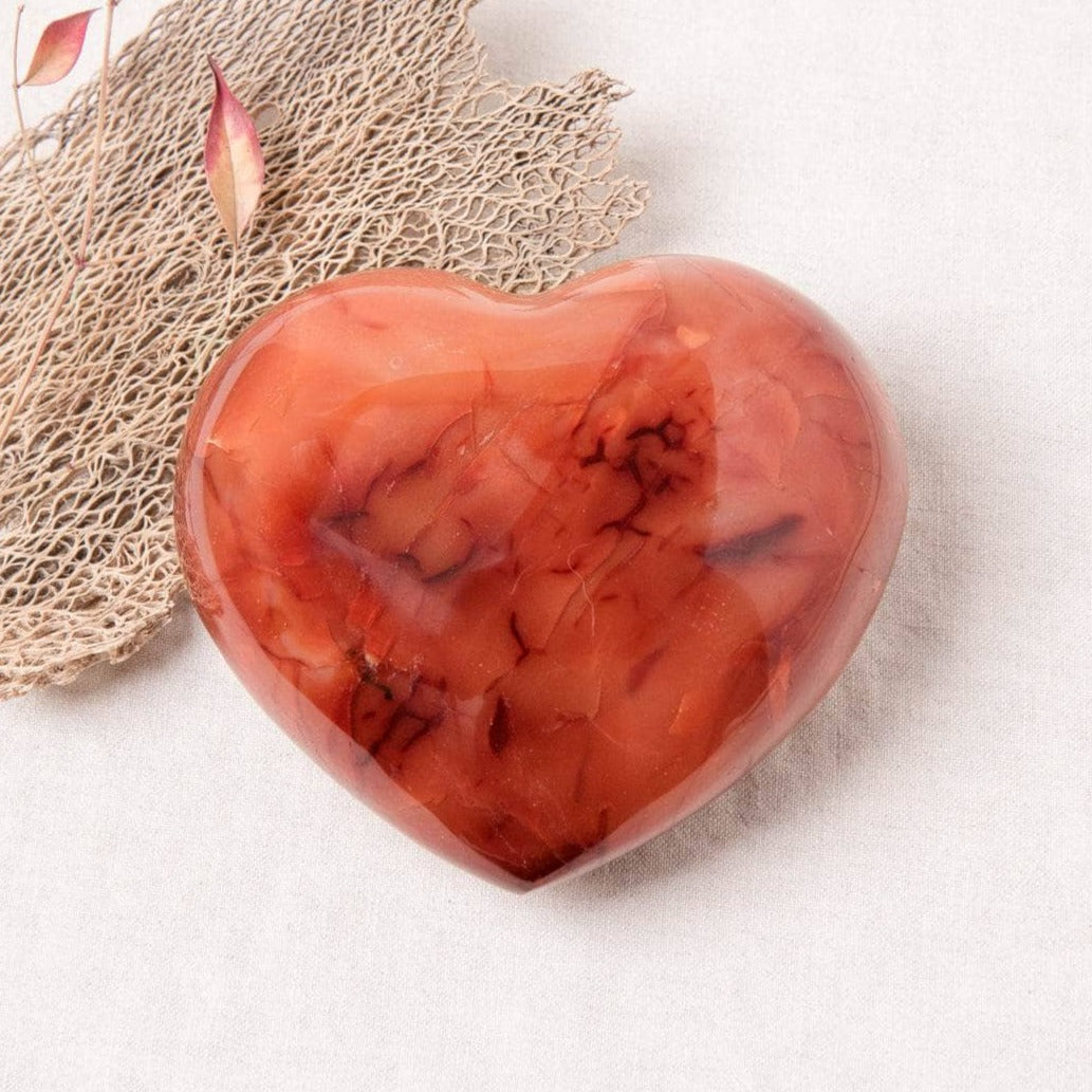 Studio-Session-2515 Carnelian Hearts - AAA Premium Quality - Image 3