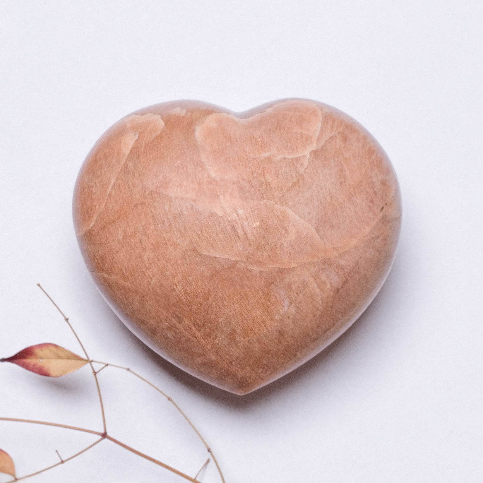 Studio-Session-92042 Peach Moonstone Hearts - AAA Premium Quality - Image 11