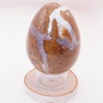 Petrified Wood Egg - AAA Premium Quality