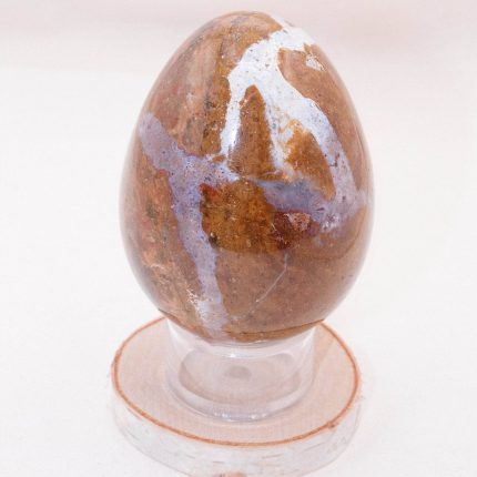 Petrified Wood Egg - AAA Premium Quality
