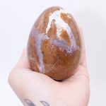 Petrified Wood Egg - AAA Premium Quality - Image 2