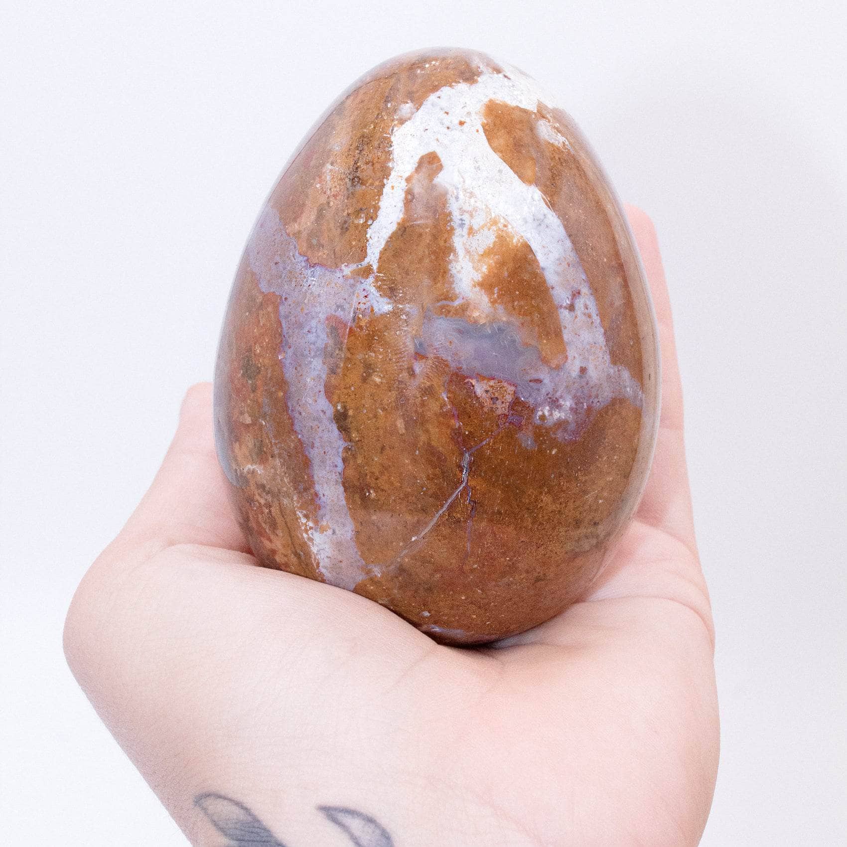TR-EGG-PW-MI-1-2 Petrified Wood Egg - AAA Premium Quality - Image 2