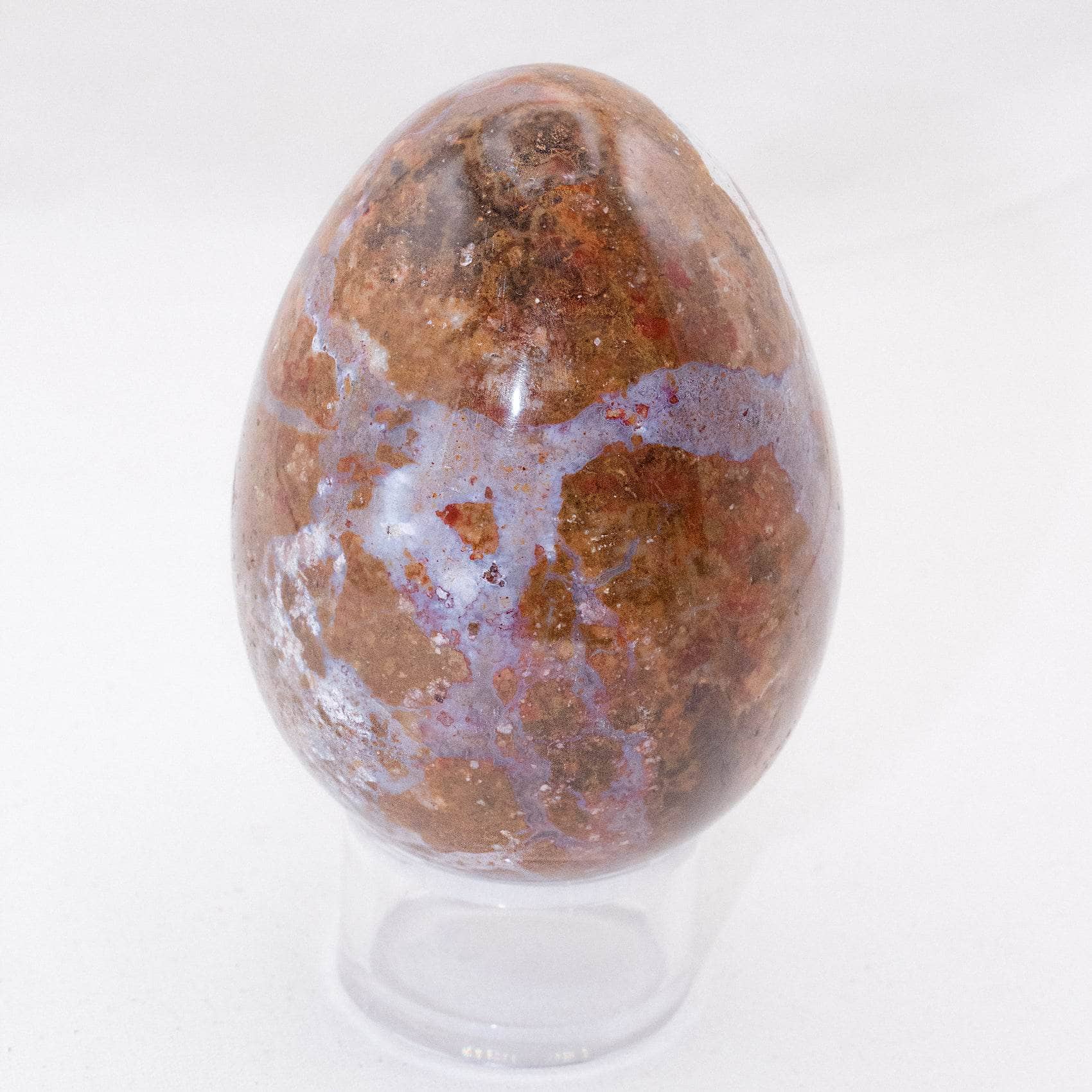 TR-EGG-PW-MI-1 Petrified Wood Egg - AAA Premium Quality - Image 3