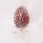 Petrified Wood Egg - AAA Premium Quality - Image 31