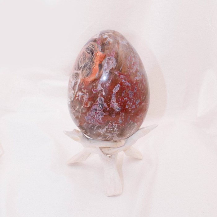 Petrified Wood Egg - AAA Premium Quality - Image 31