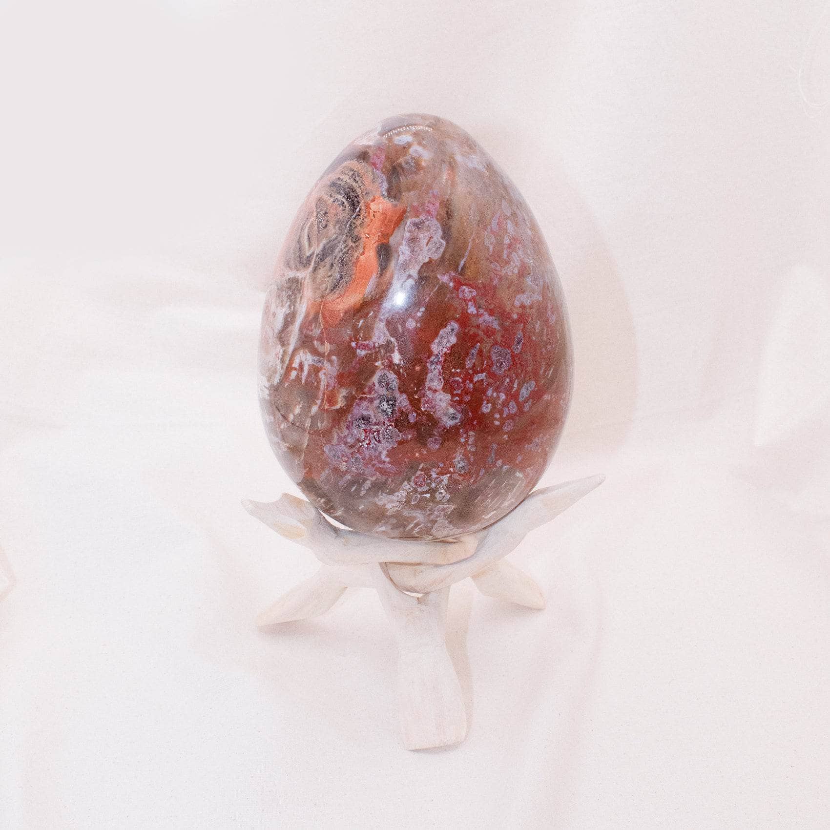 TR-EGG-PW-MI-10-1 Petrified Wood Egg - AAA Premium Quality - Image 31