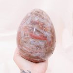 Petrified Wood Egg - AAA Premium Quality - Image 32