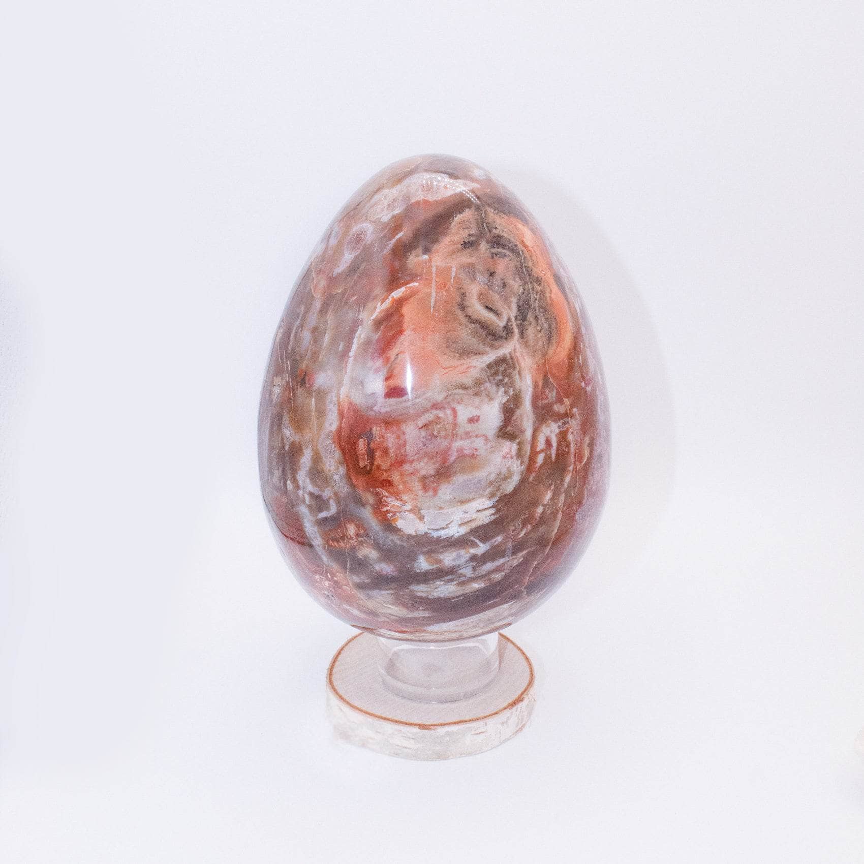 TR-EGG-PW-MI-10 Petrified Wood Egg - AAA Premium Quality - Image 33