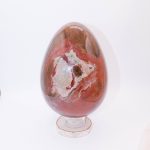 Petrified Wood Egg - AAA Premium Quality - Image 36