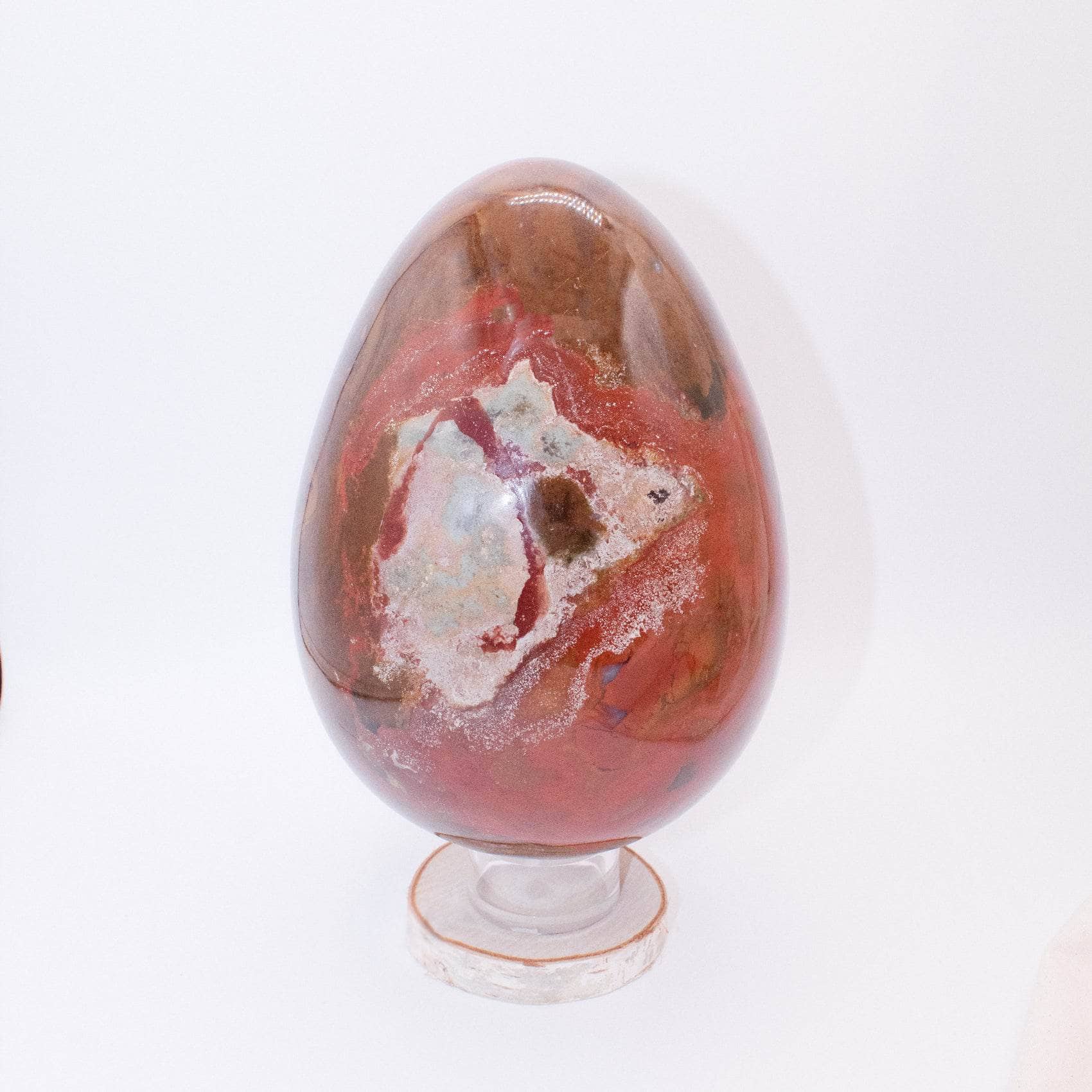 TR-EGG-PW-MI-11-1 Petrified Wood Egg - AAA Premium Quality - Image 36