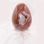 Petrified Wood Egg - AAA Premium Quality - Image 34