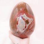Petrified Wood Egg - AAA Premium Quality - Image 35
