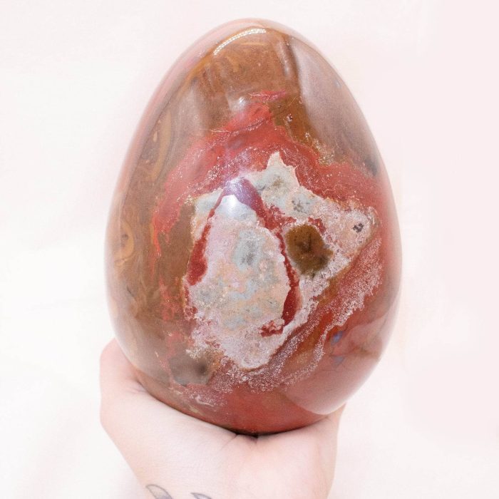 Petrified Wood Egg - AAA Premium Quality - Image 35