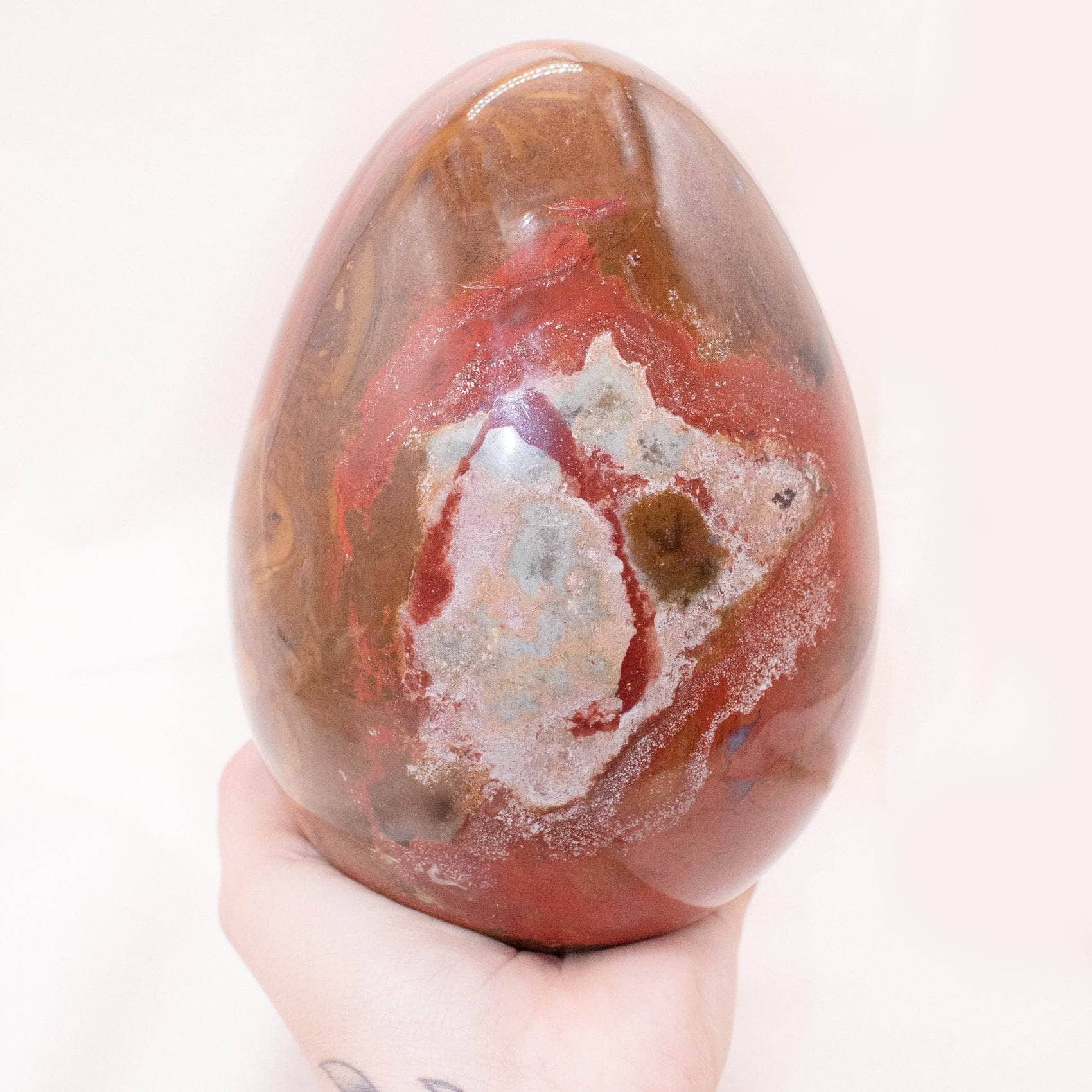 TR-EGG-PW-MI-11-2 Petrified Wood Egg - AAA Premium Quality - Image 35