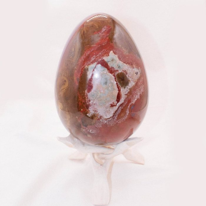 Petrified Wood Egg - AAA Premium Quality - Image 34