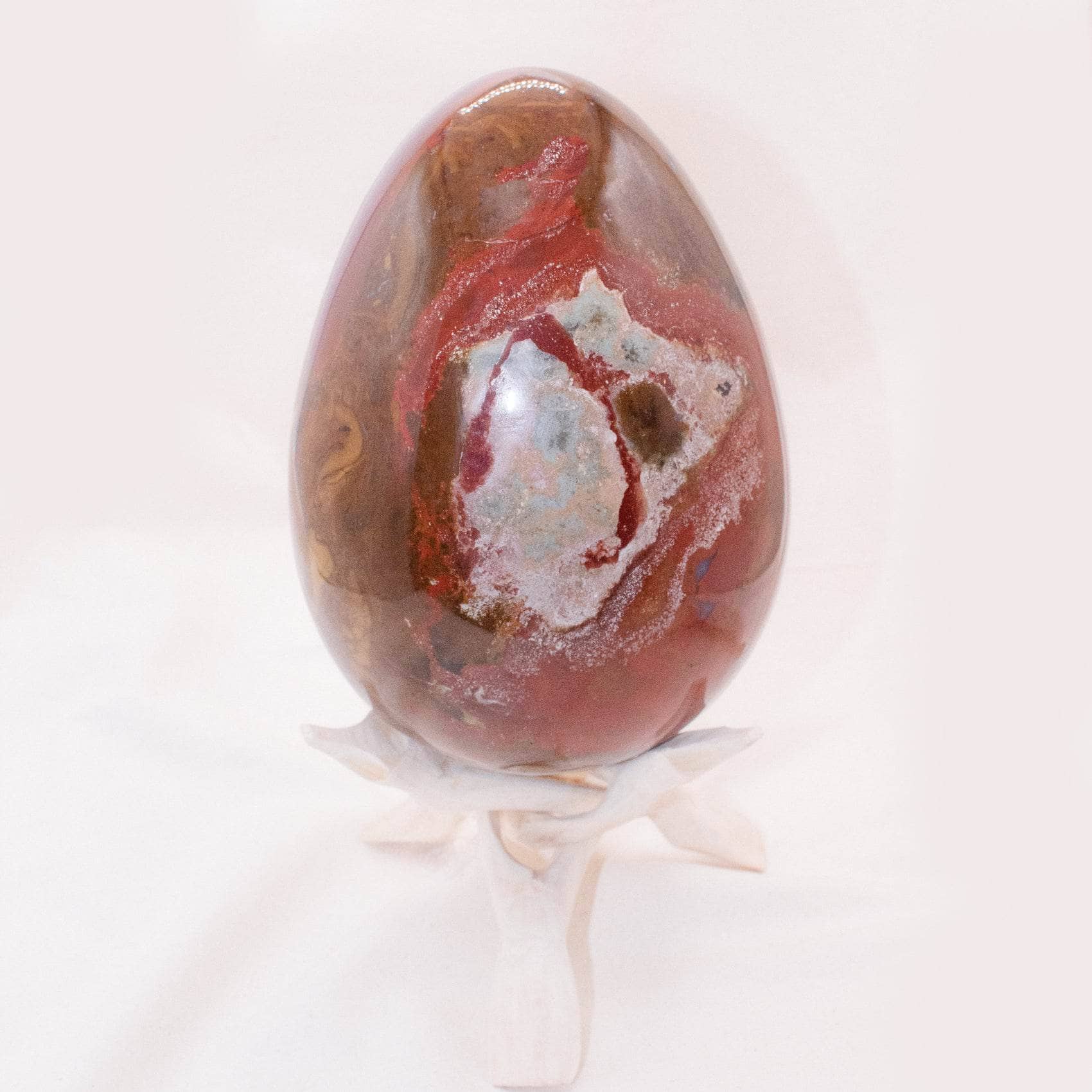 TR-EGG-PW-MI-11 Petrified Wood Egg - AAA Premium Quality - Image 34