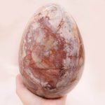 Petrified Wood Egg - AAA Premium Quality - Image 38