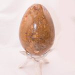 Petrified Wood Egg - AAA Premium Quality - Image 37
