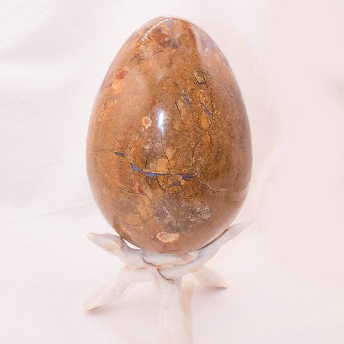 Petrified Wood Egg - AAA Premium Quality - Image 37