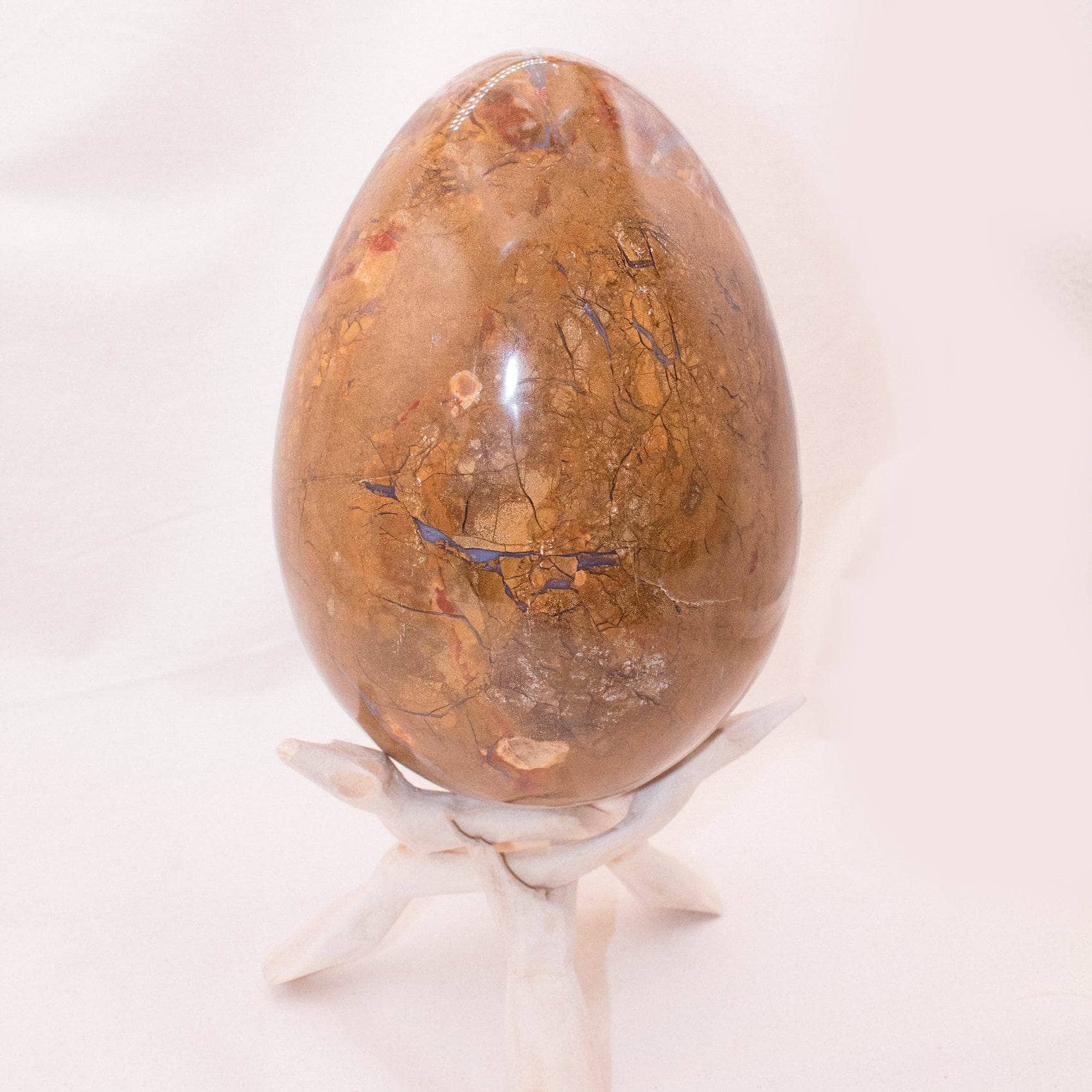 TR-EGG-PW-MI-12-2 Petrified Wood Egg - AAA Premium Quality - Image 37