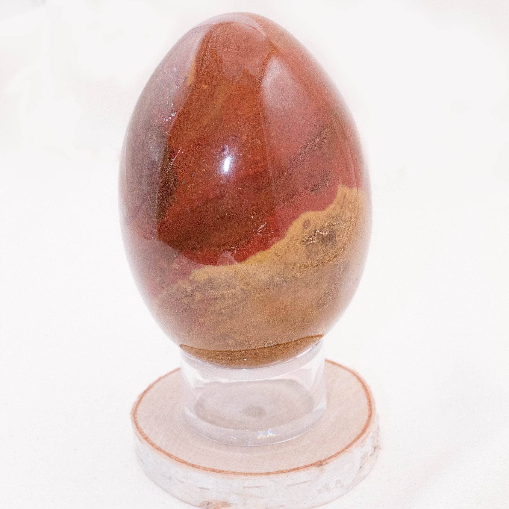 TR-EGG-PW-MI-2-1 Petrified Wood Egg - AAA Premium Quality - Image 5