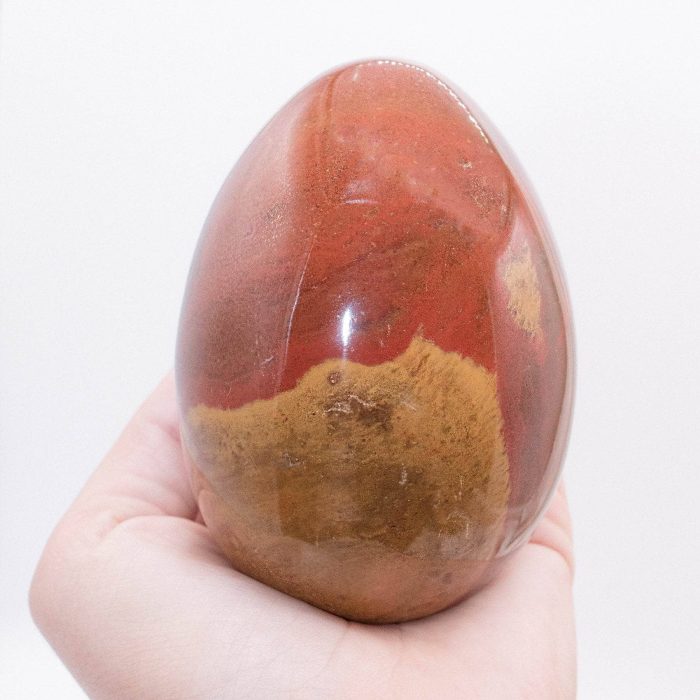 Petrified Wood Egg - AAA Premium Quality - Image 4