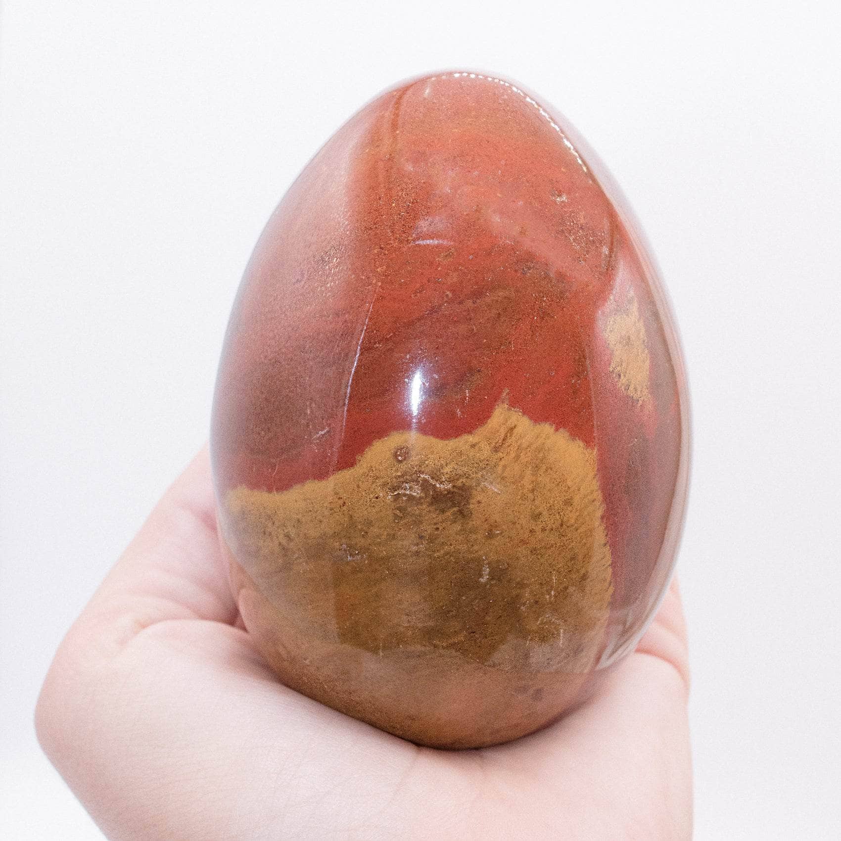 TR-EGG-PW-MI-2 Petrified Wood Egg - AAA Premium Quality - Image 4
