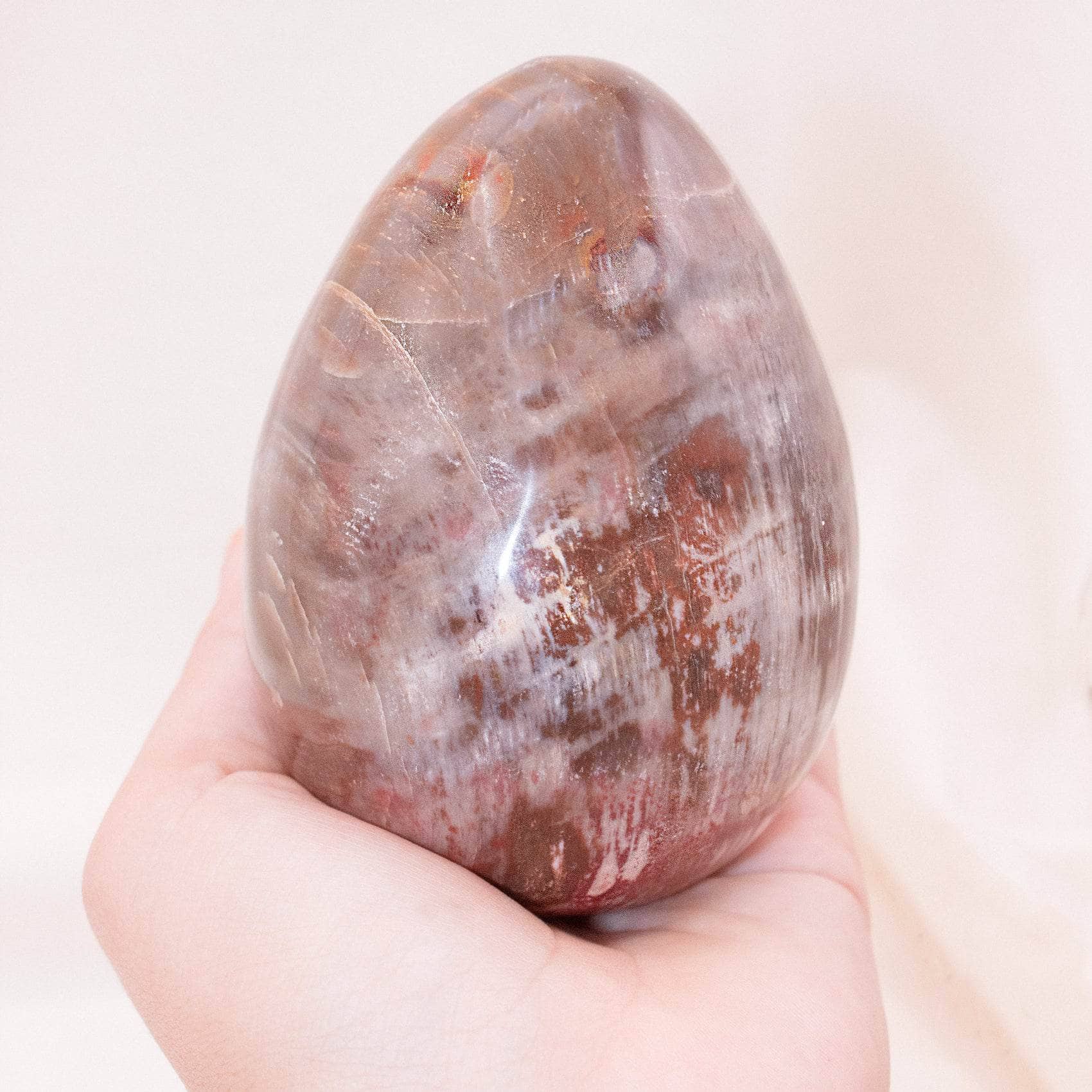 TR-EGG-PW-MI-3-1 Petrified Wood Egg - AAA Premium Quality - Image 8