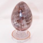 Petrified Wood Egg - AAA Premium Quality - Image 7
